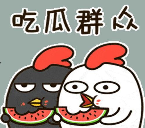 娱乐吃瓜小兔兔微博,揭秘娱乐圈那些吃瓜趣事